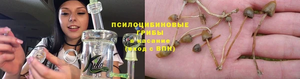 меф Майский