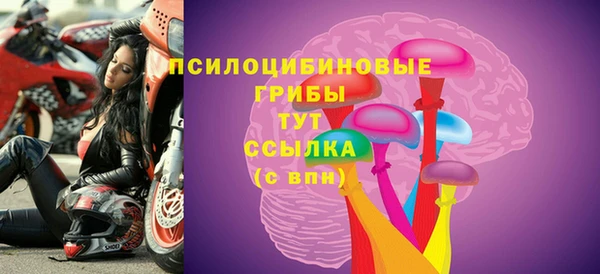 марки lsd Абаза